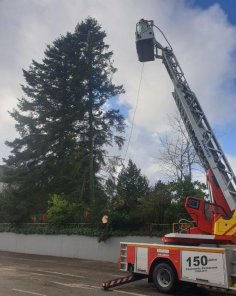 Feuerwehreinsatz in Lembergerstraße, weil ein Baum droht zu fallen