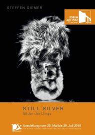 Ausstellungsplakat "Still Silver - Bilder der Dinge. Fotografien von Steffen Diemer" im Forum ALTE POST