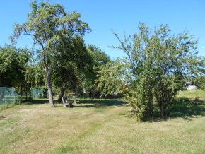 Blick auf die städtische Streuobstwiese in der Baumgartenstraße 