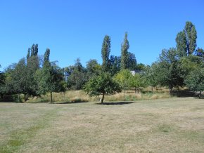 Blick auf die Streuobstwiese im Strecktal  