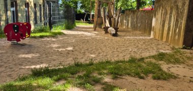 Außengelände in der KiTa Husterhöhe Pirmasens, Blick Richtung Sandkasten