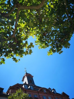 Altes Rathaus vor blauem Himmel