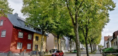 Blick auf die Straße in der Walsterwiese Pirmasens 