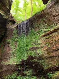 Quellwasser fließt leicht den Felsen herunter 