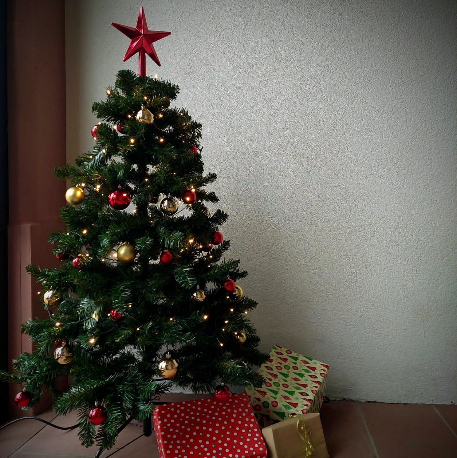 Weihnachtsbaum im CVJM-Haus Weihnachtsbaum im CVJM-Haus