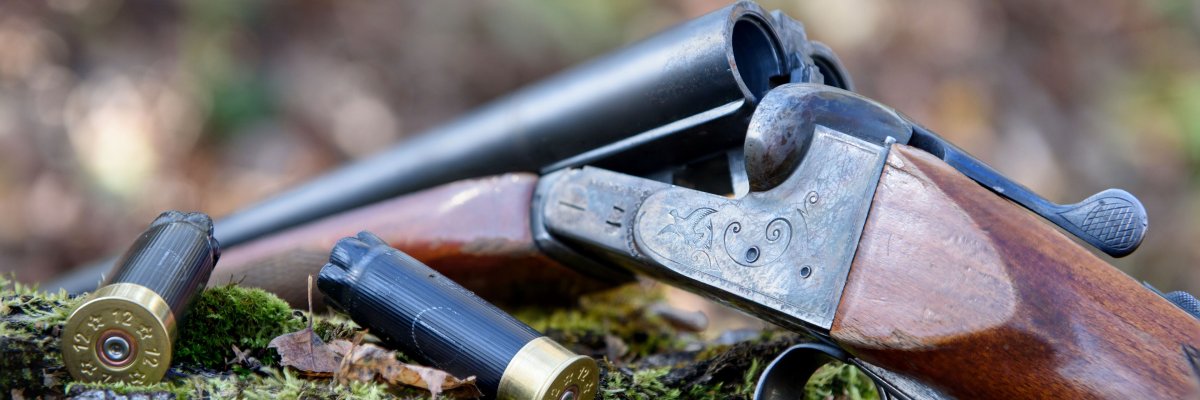 Flinte im Wald