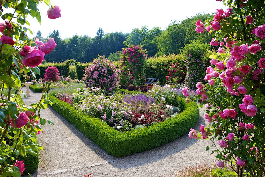 Blühender Ziergarten mit gepflegten Kieswegen, niedrigen Hecken und zahlreichen rosa Rosen sowie bunten Blumenbeeten; im Hintergrund Bäume und Sitzbank.