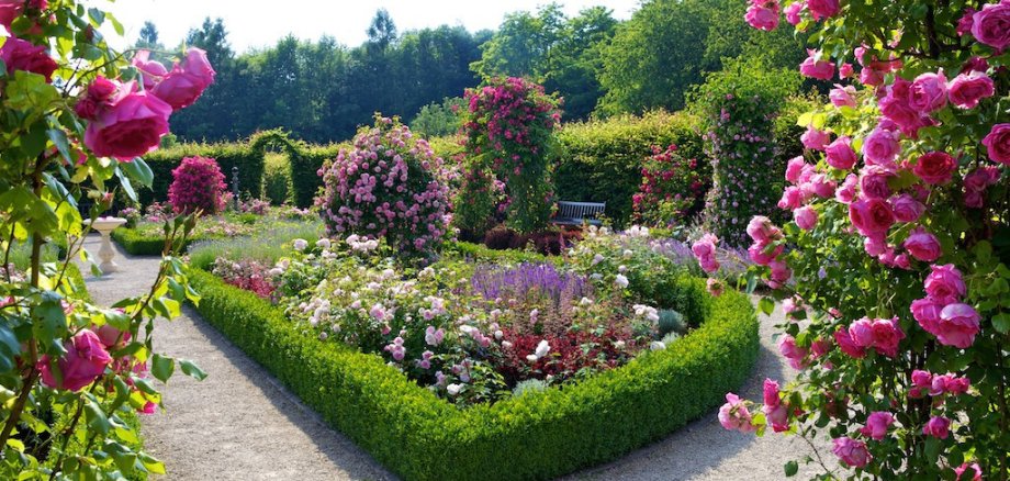 Blühender Ziergarten mit gepflegten Kieswegen, niedrigen Hecken und zahlreichen rosa Rosen sowie bunten Blumenbeeten; im Hintergrund Bäume und Sitzbank.