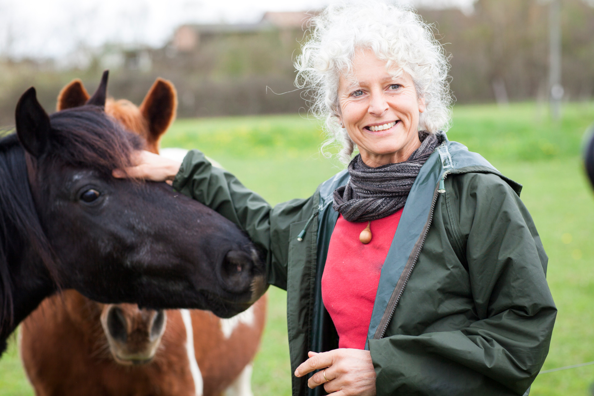 Woman stroking horse