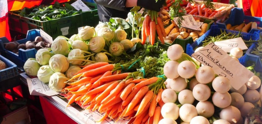 Verschiedenes Gemüse vom Markt