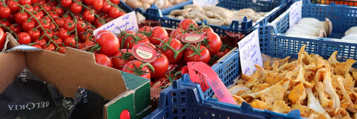 Verschiedenes Gemüse vom Markt