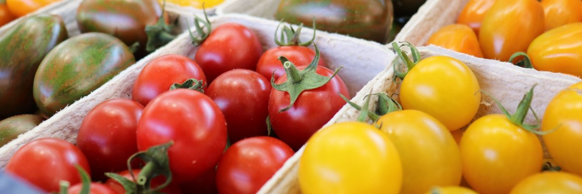 Bunte Tomaten vom Markt Nahaufnahme 