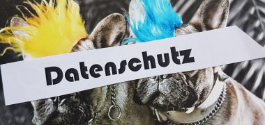 Aufschrift Datenschutz im Hintergrund zwei Hunde mit Irokesenschnitt 