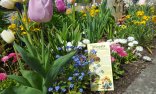 Blumenbeet mit bunten Frühjahrsblumen, dain liegt ein Grünpaten Flyer