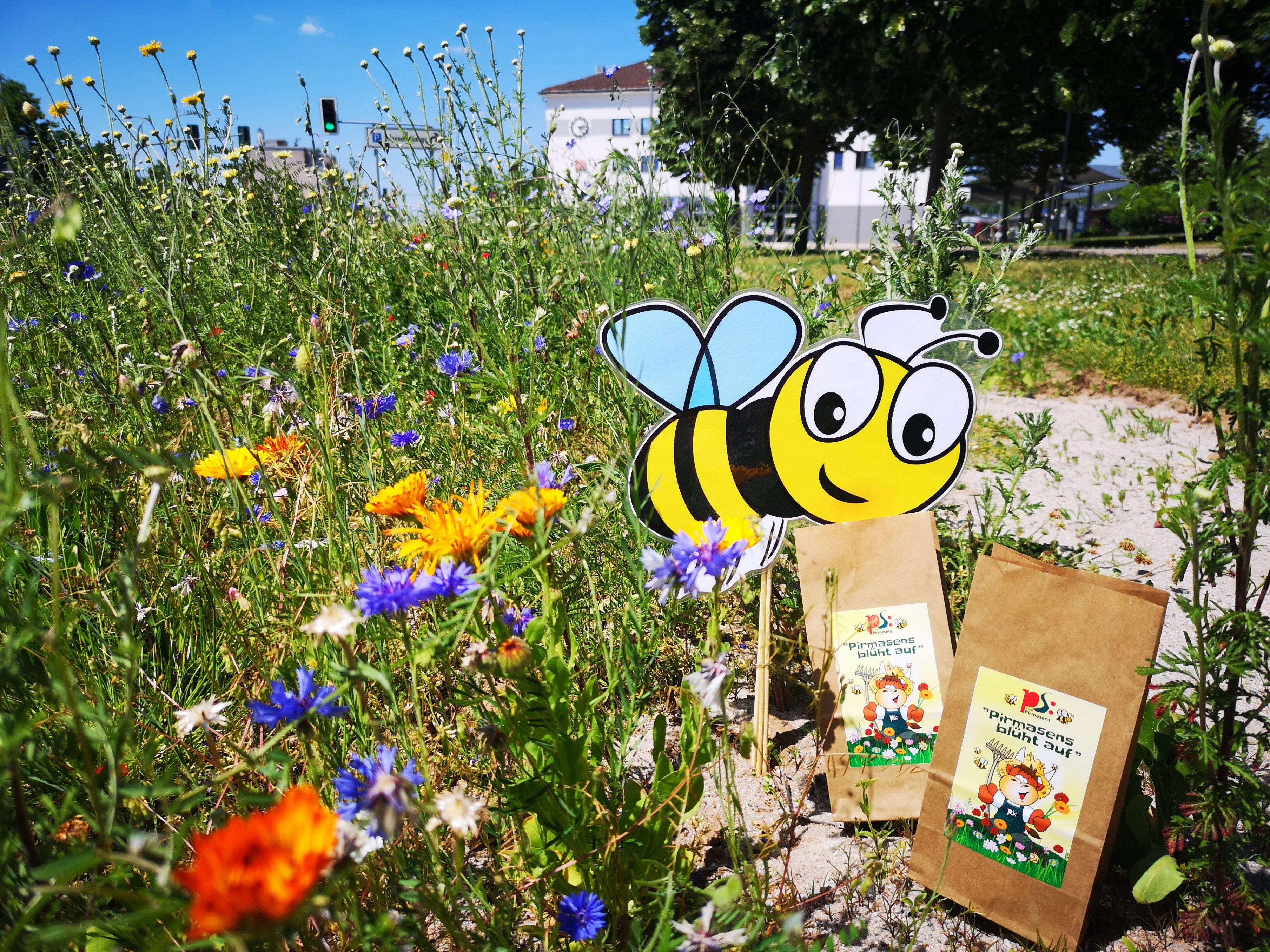 Wildblumenwiese mit zwei Blumensamen-Päckchen und Bienen-Gartendeko vor dem Bahnhof