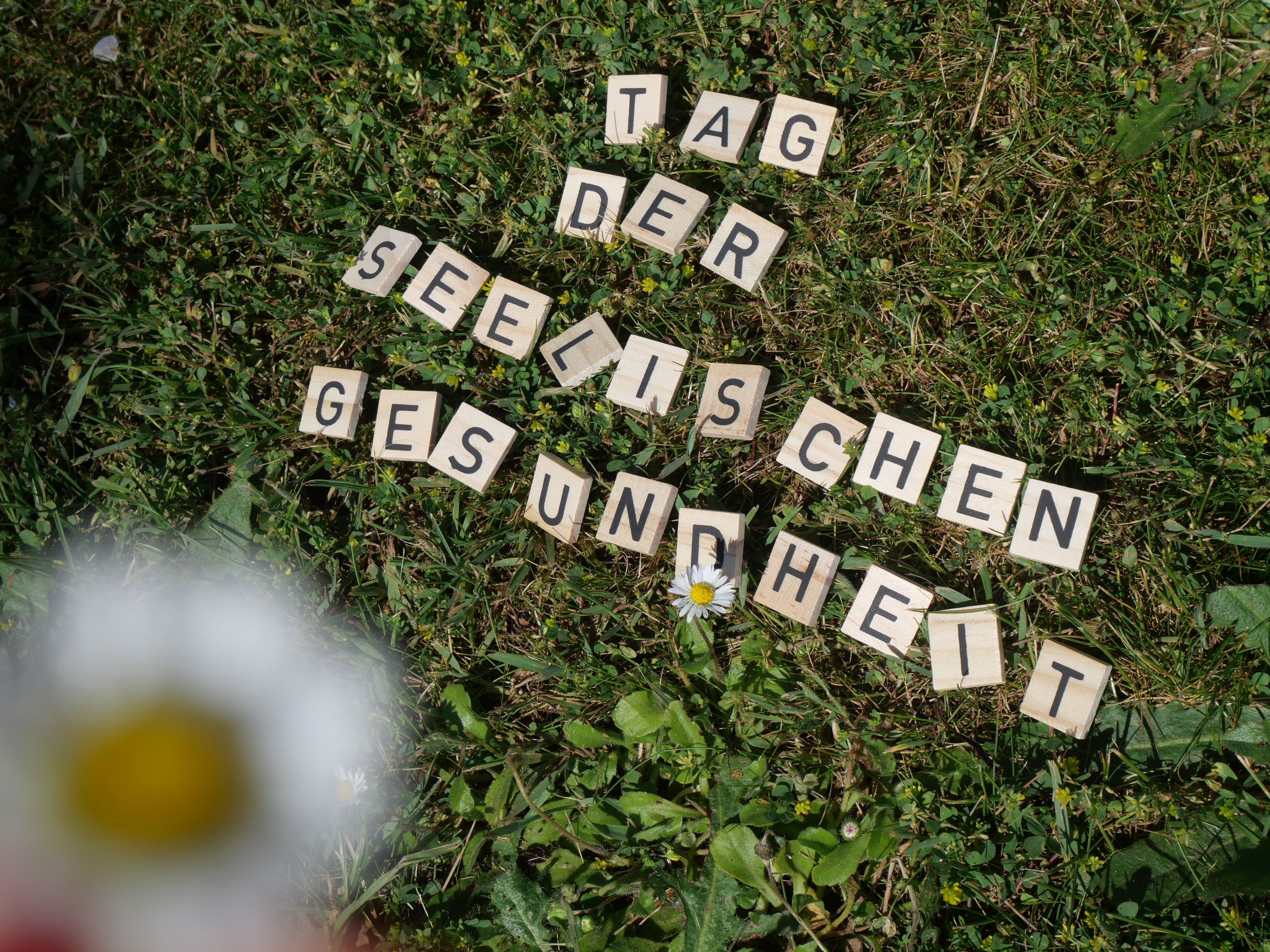 Tag der seelischen Gesundheit Buchstaben im Gras, die den Schriftzug "Tag der seelischen Gesundheit" bilden, im Vordergrund ein Gänseblümchen