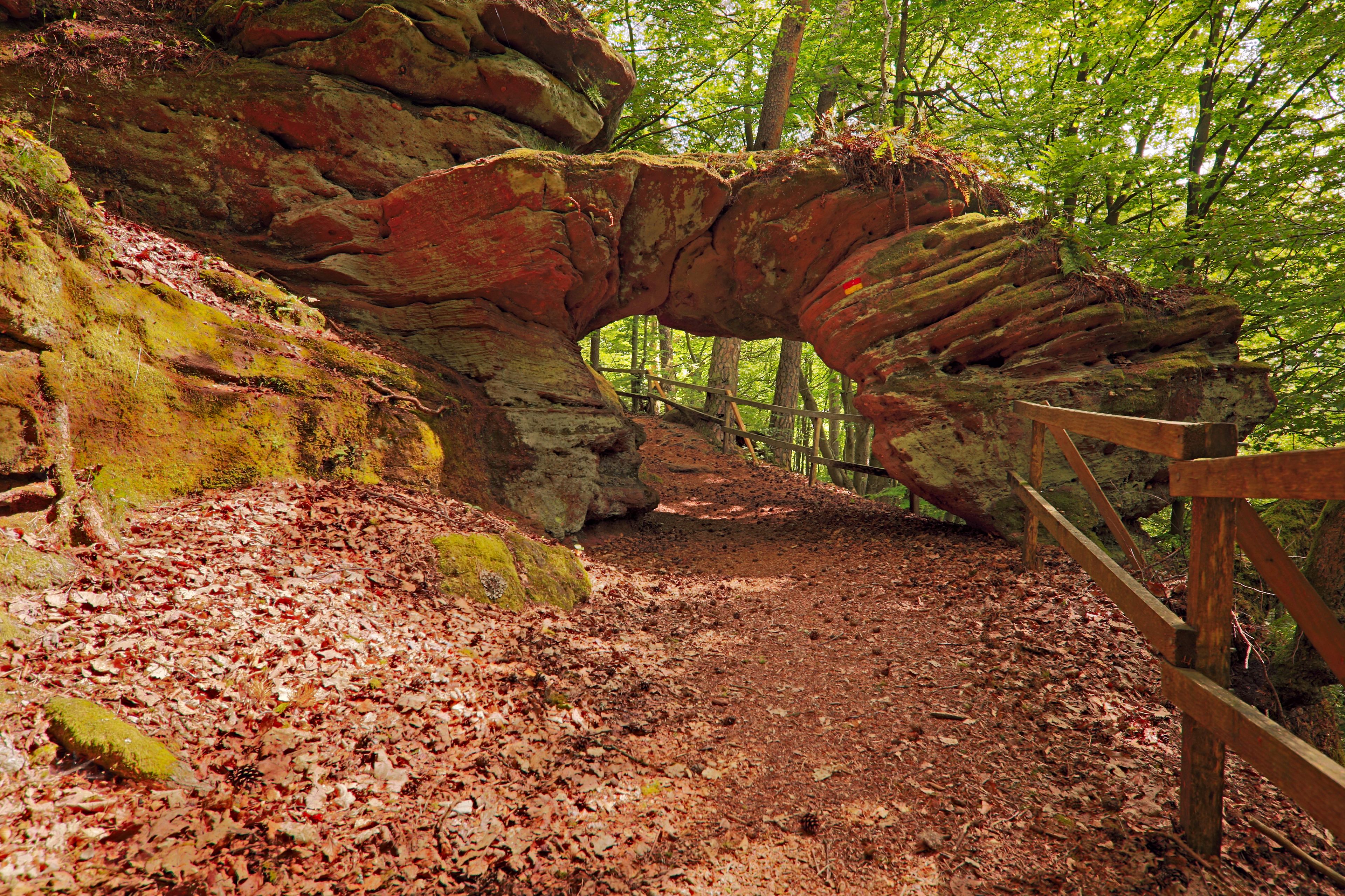 Felsenwald Felsentor