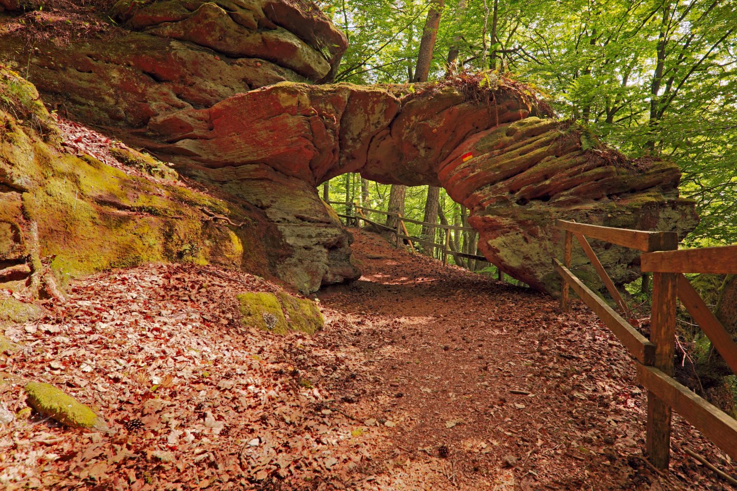 Felsentor Felsenwald Felsentor
