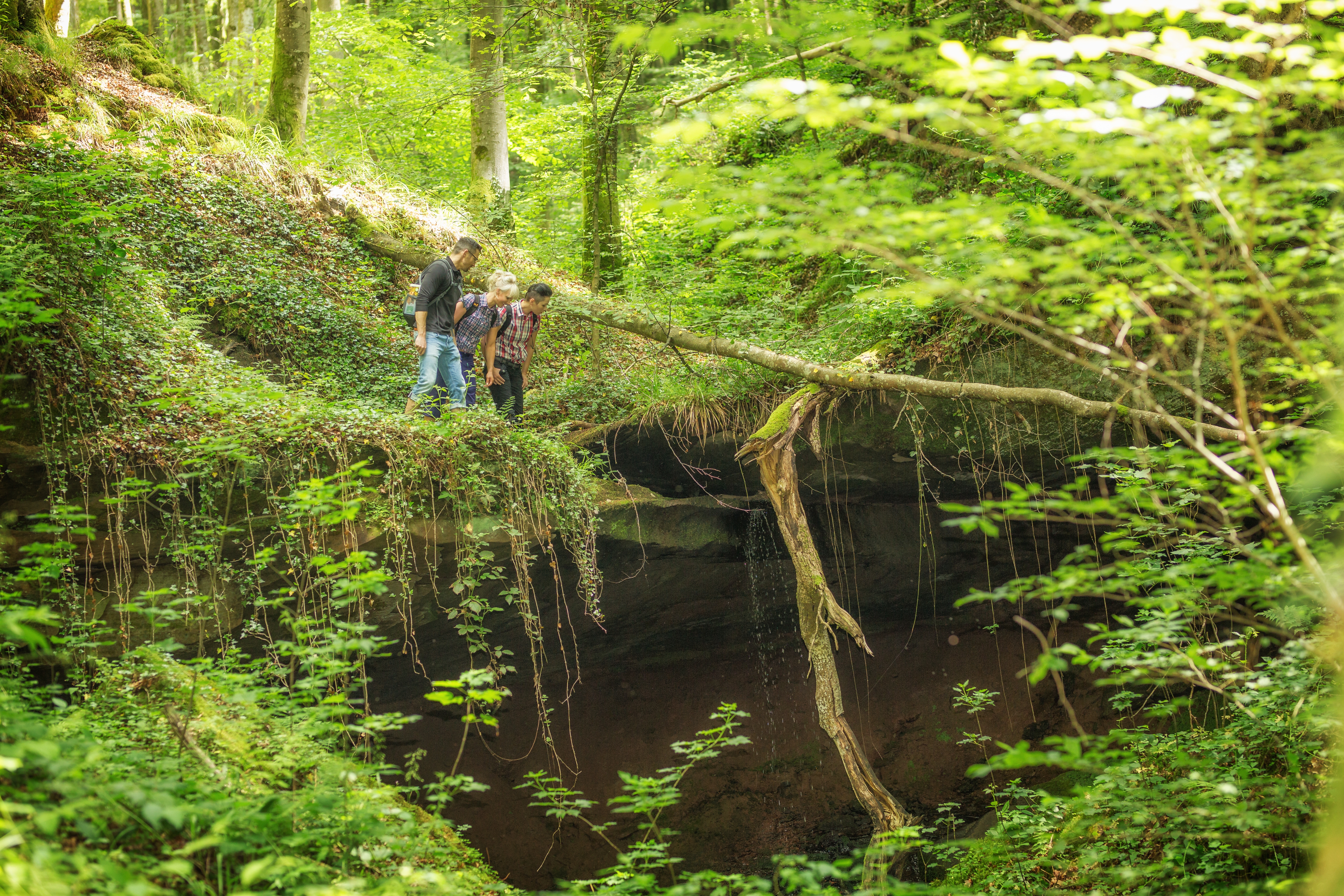 Hexenklamm drei Wanderer schauen Abgrund runter 