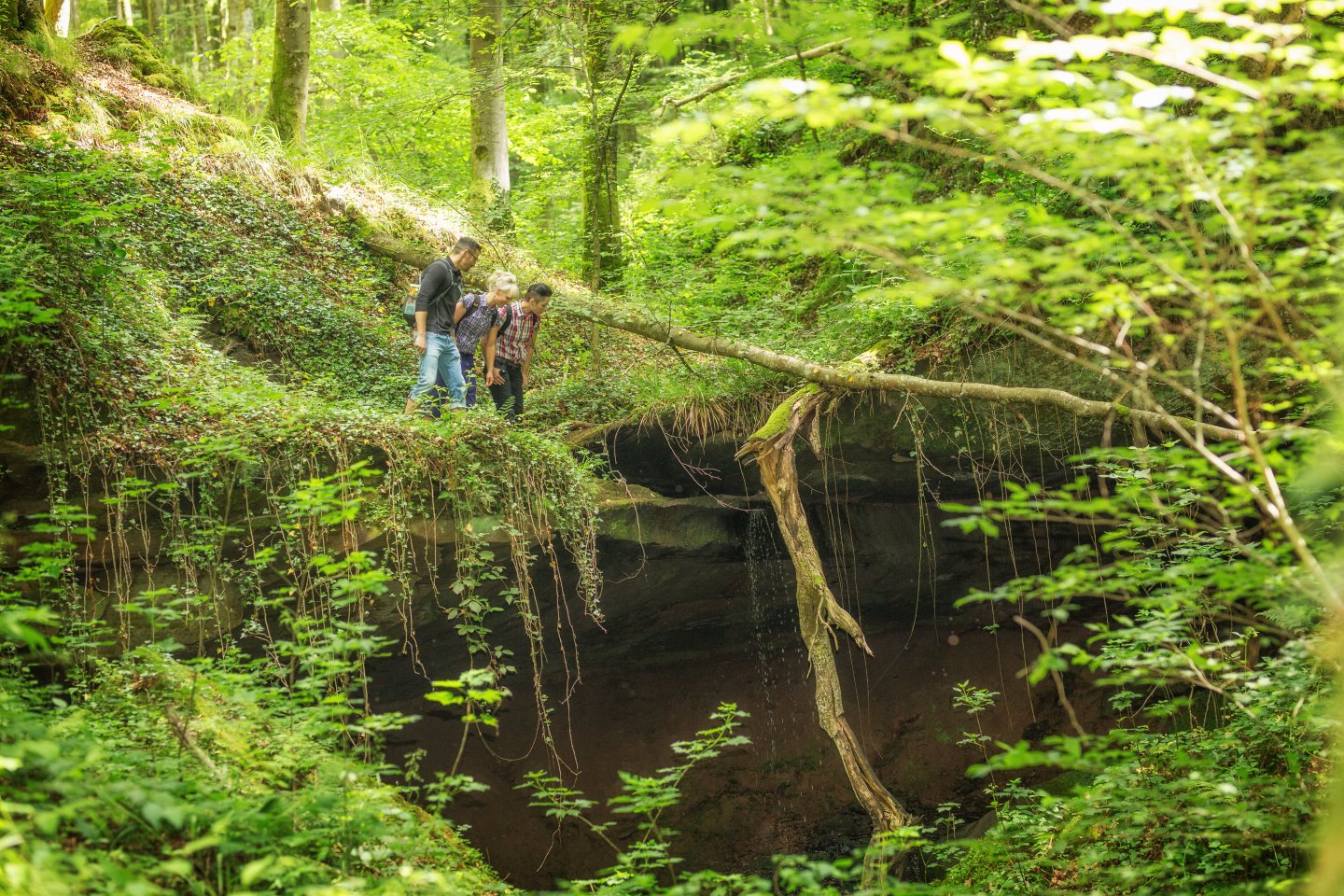 Hexenklamm Hexenklamm drei Wanderer schauen Abgrund runter
