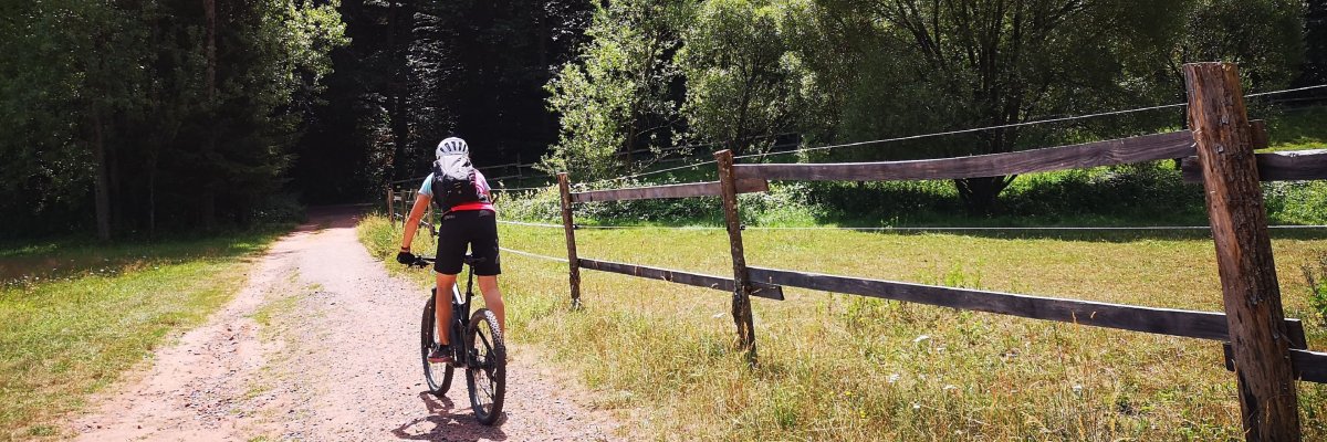 Mann fährt Mountainbike 