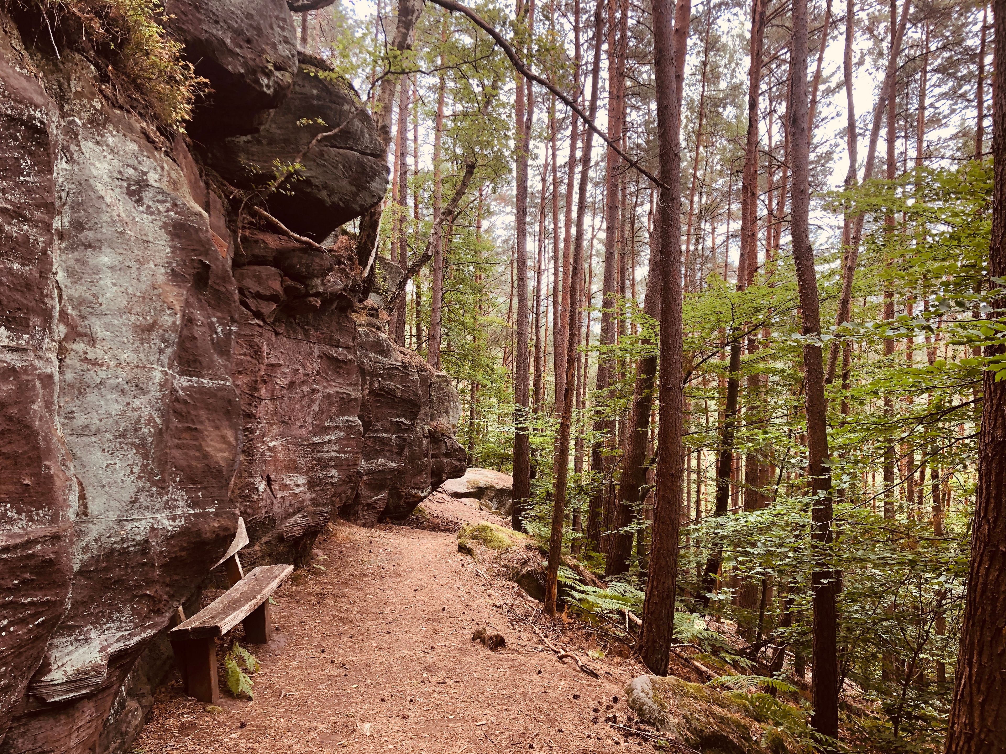Pfälzer Waldpfad Felsen mit Sitzbank 