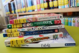 Bücherei - Mangas aufeinander gestapelt 