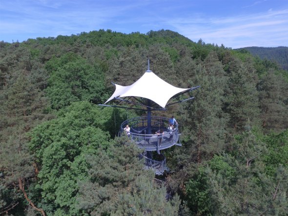 Baumwipfelpfad umgeben von Wald 