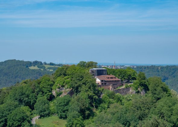 Burge Lemberg umgeben von Wald und bei blauem Himmel 
