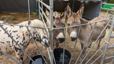 verschiedene Minigolfbahnen