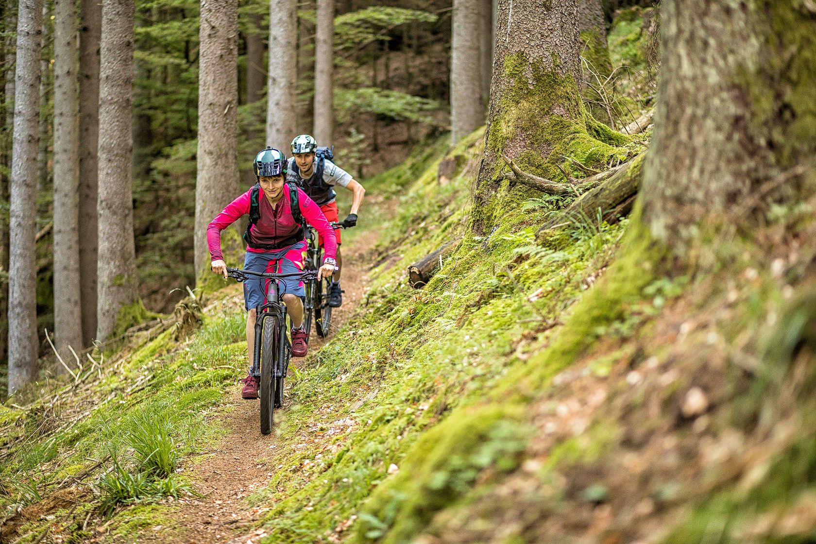 MTB Park-Pfalz Wasgau