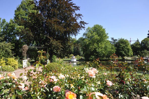 ZW Rosengarten Rosen im Vordergrund und See im Hintergrund 