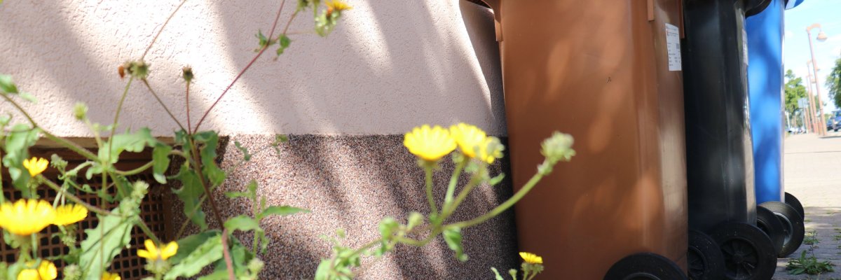 Mülleimer und Blumen