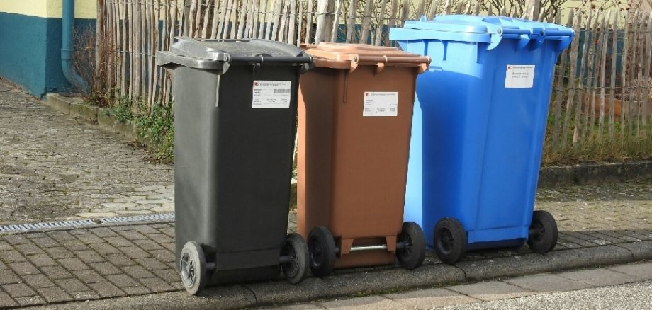 Drei Abfalltonnen für Rest-, Bio- und Papiermüll 
