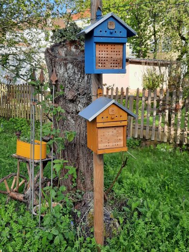 Bienenhotel an Baumstumpf