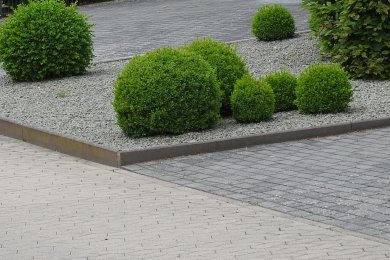 mehrere Büchse in einem Bett, das ausgelegt ist mit kleinen Steinen