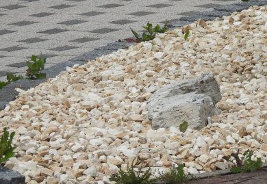 Mit beige farbenen Steinen ausgelegtes Beet