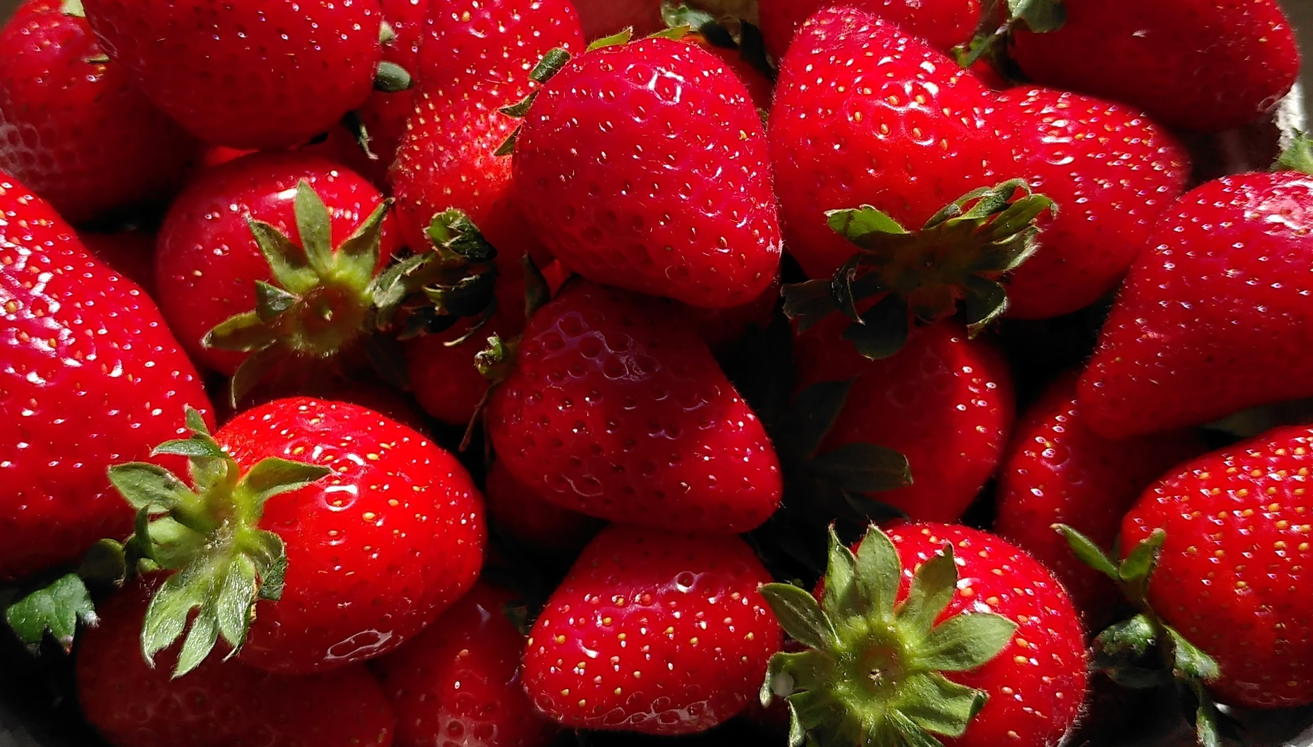 Erdbeere_8