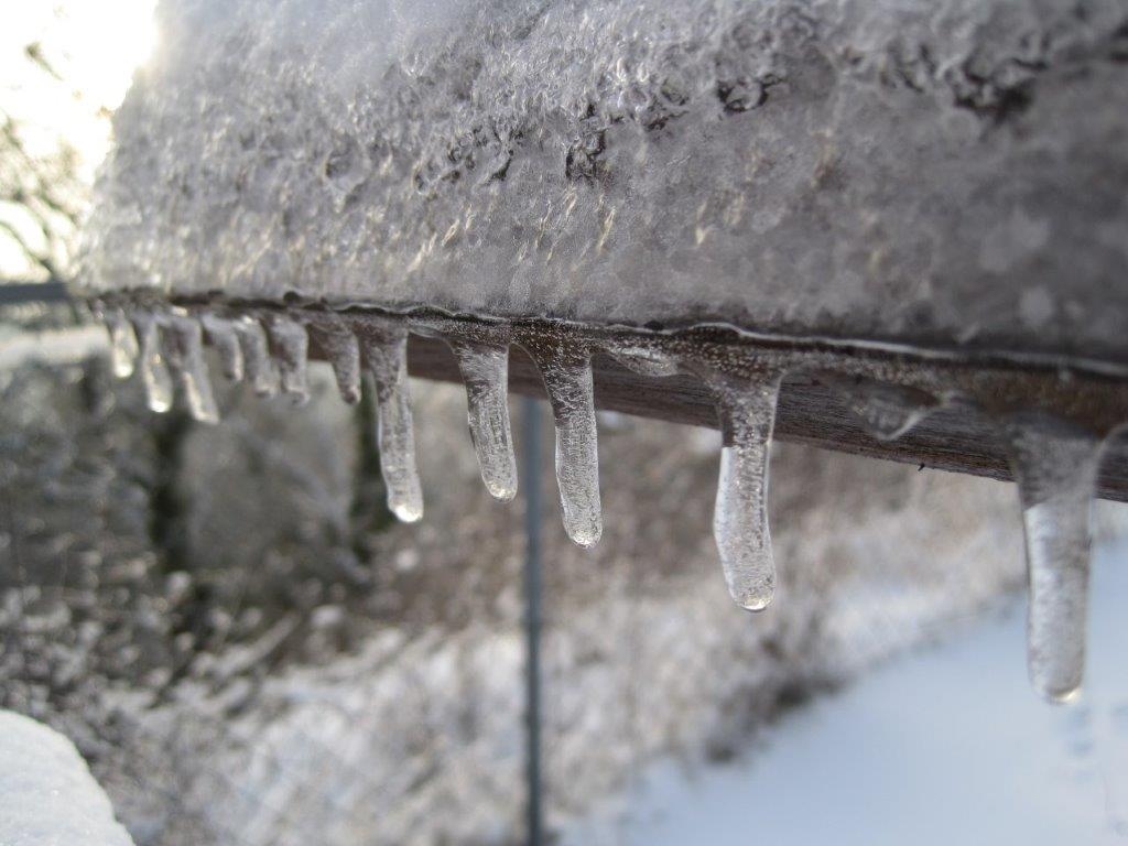 Eiszapfen an einem Ast