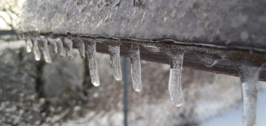 Eiszapfen an einem Ast