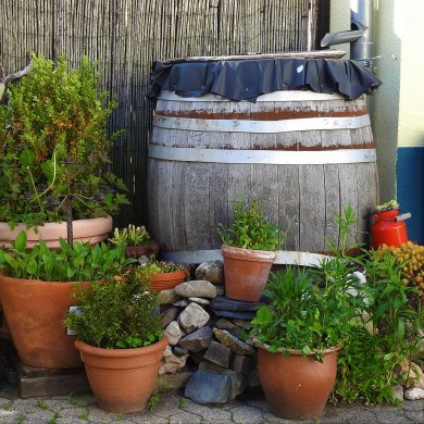 Wassertonne aus Holz mit Blumen im Vordergrund