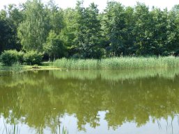 Blick auf Strecktalweiher