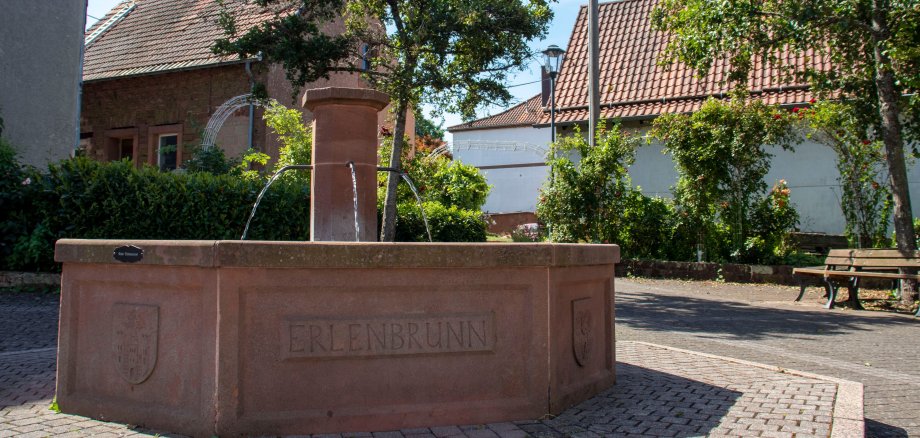 Dorfbrunnen Erlenbrunn Blick auf Dorfbrunnen Erlenbrunn