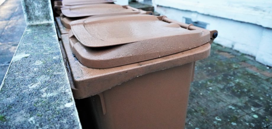 Biotonne wird ab November wieder alle zwei Wochen geleert