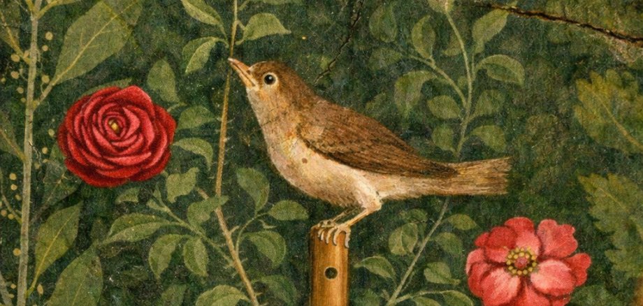 „Die Nachtigall und die Rose“: Ein poetisches Konzert-Märchen