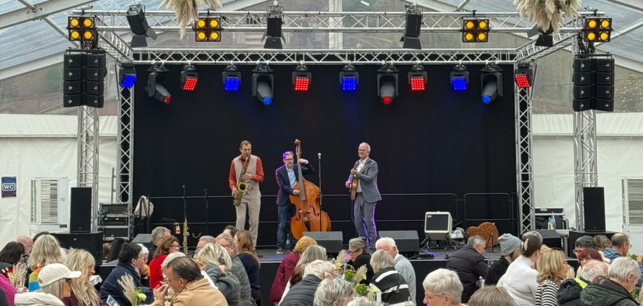 Jazz der Extraklasse serviert das Cafehaustrio