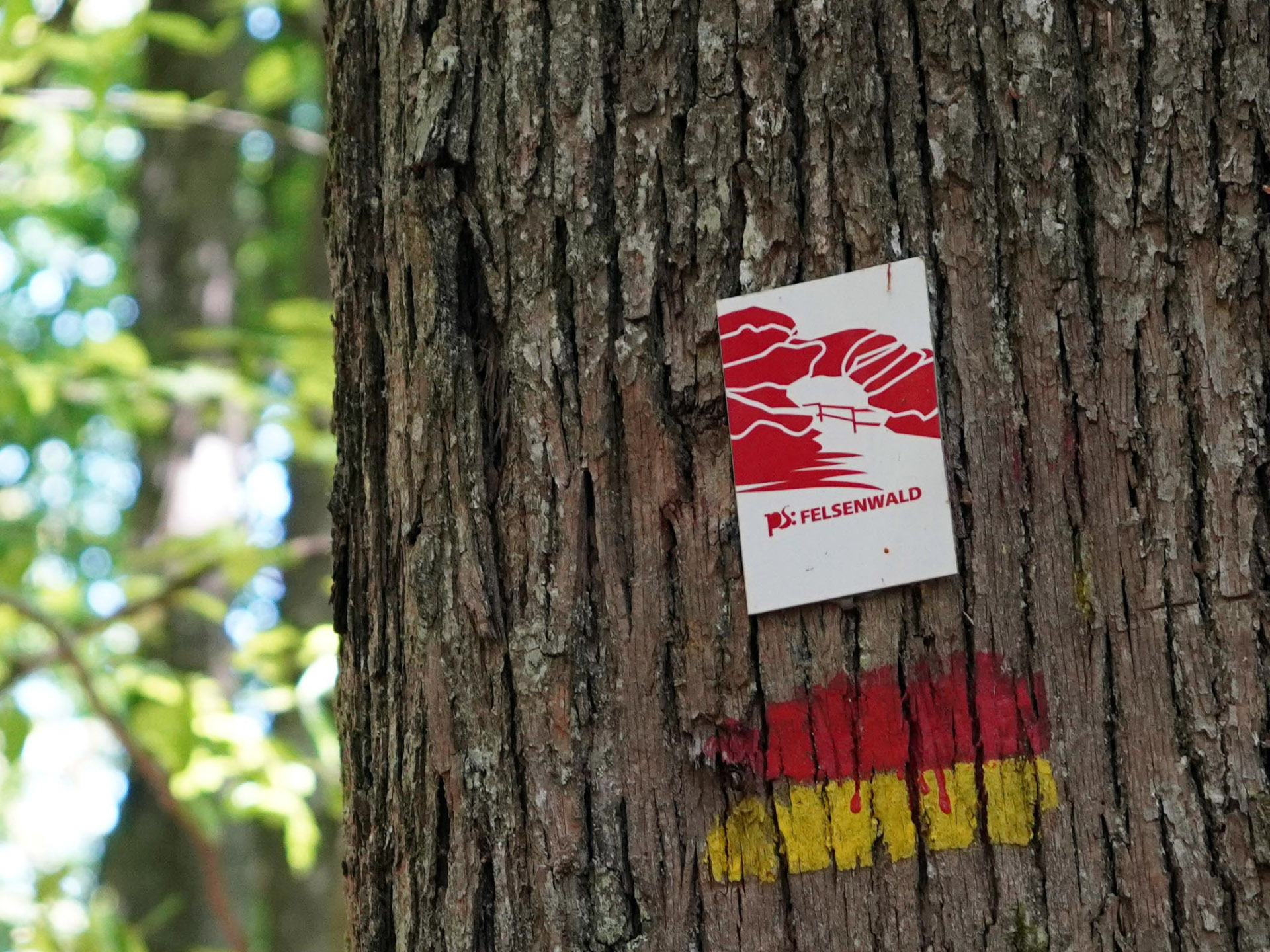 Das Stadtmarketing sucht einen Ehrenamtlichen, der sich als Felsenwald-Wegepate um die beliebte Premiumtour kümmert. Das Stadtmarketing sucht einen Ehrenamtlichen, der sich als Felsenwald-Wegepate um die beliebte Premiumtour kümmert.