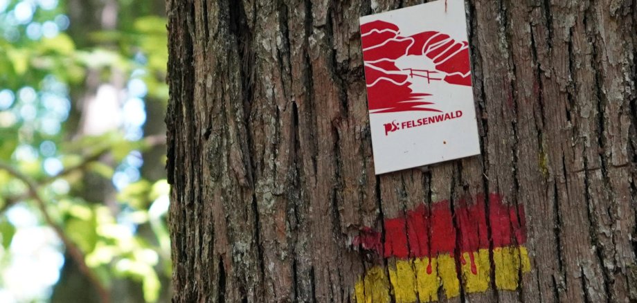 Das Stadtmarketing sucht einen Ehrenamtlichen, der sich als Felsenwald-Wegepate um die beliebte Premiumtour kümmert.
