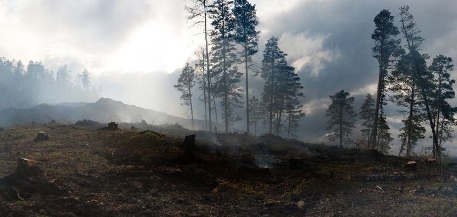 Waldbrand